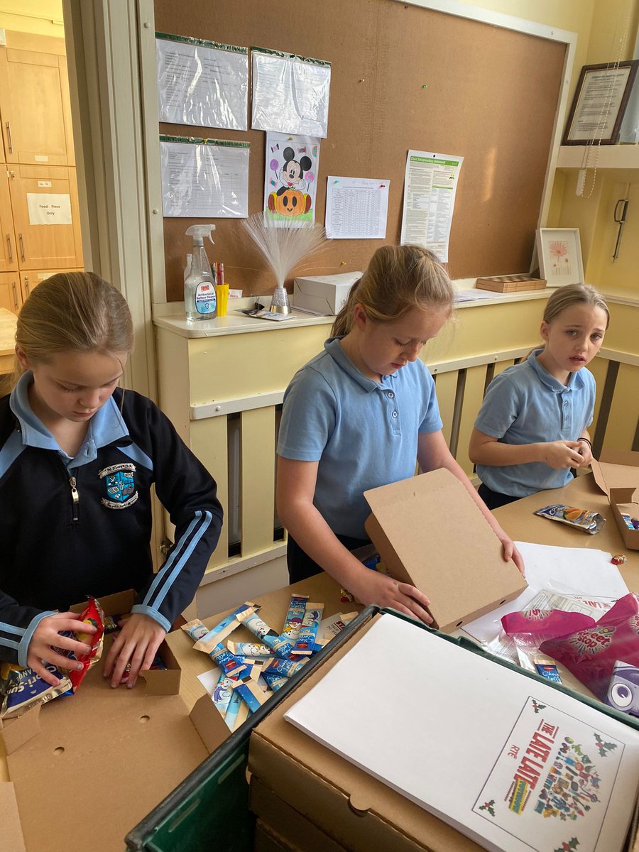 St Mary's NS Limerick tweet media