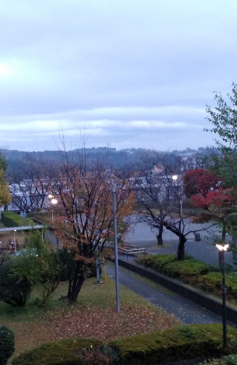 aabbccdd543's tweet photo. おはよう

今朝は雲だらけ…
公園には真っ赤な紅葉が…
そろそろ見頃かな

日中は暖かくなりそうで
ホッとするね

さあ今日も頑張らないと💪 https://t.co/ee16FmUW44
