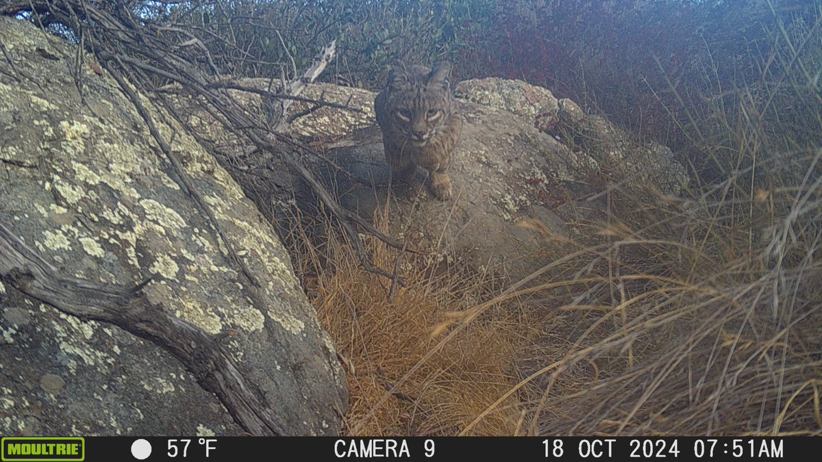 Rachel Larson, PhD tweet media