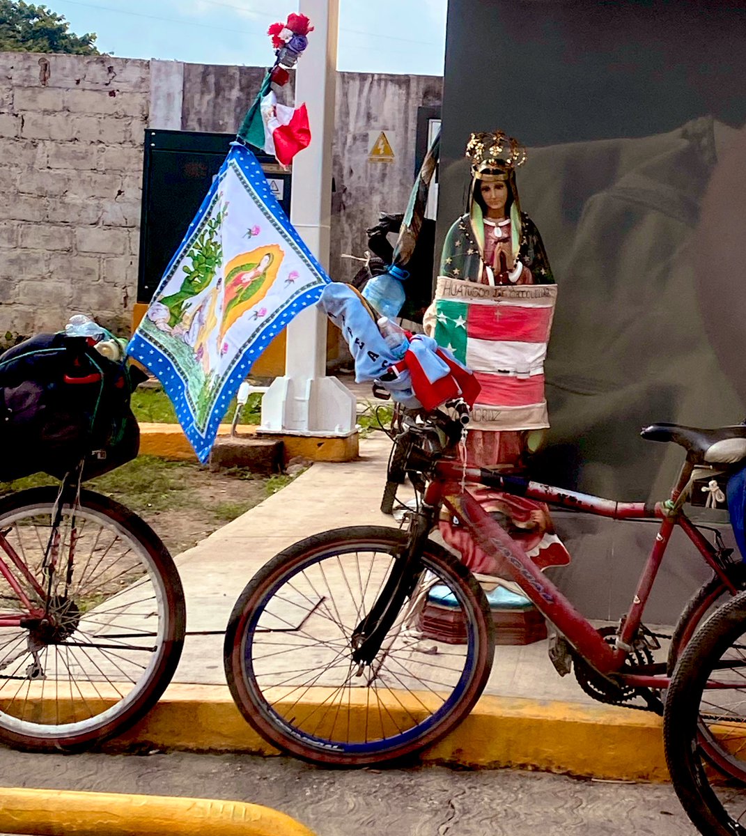 cometa_hosh tweet media