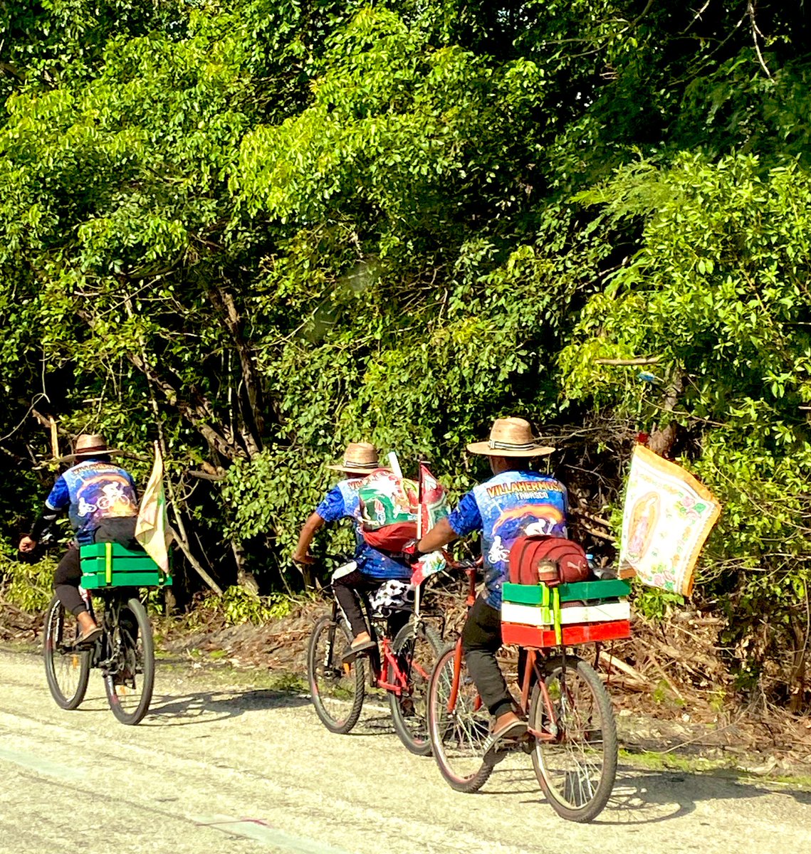 cometa_hosh tweet media