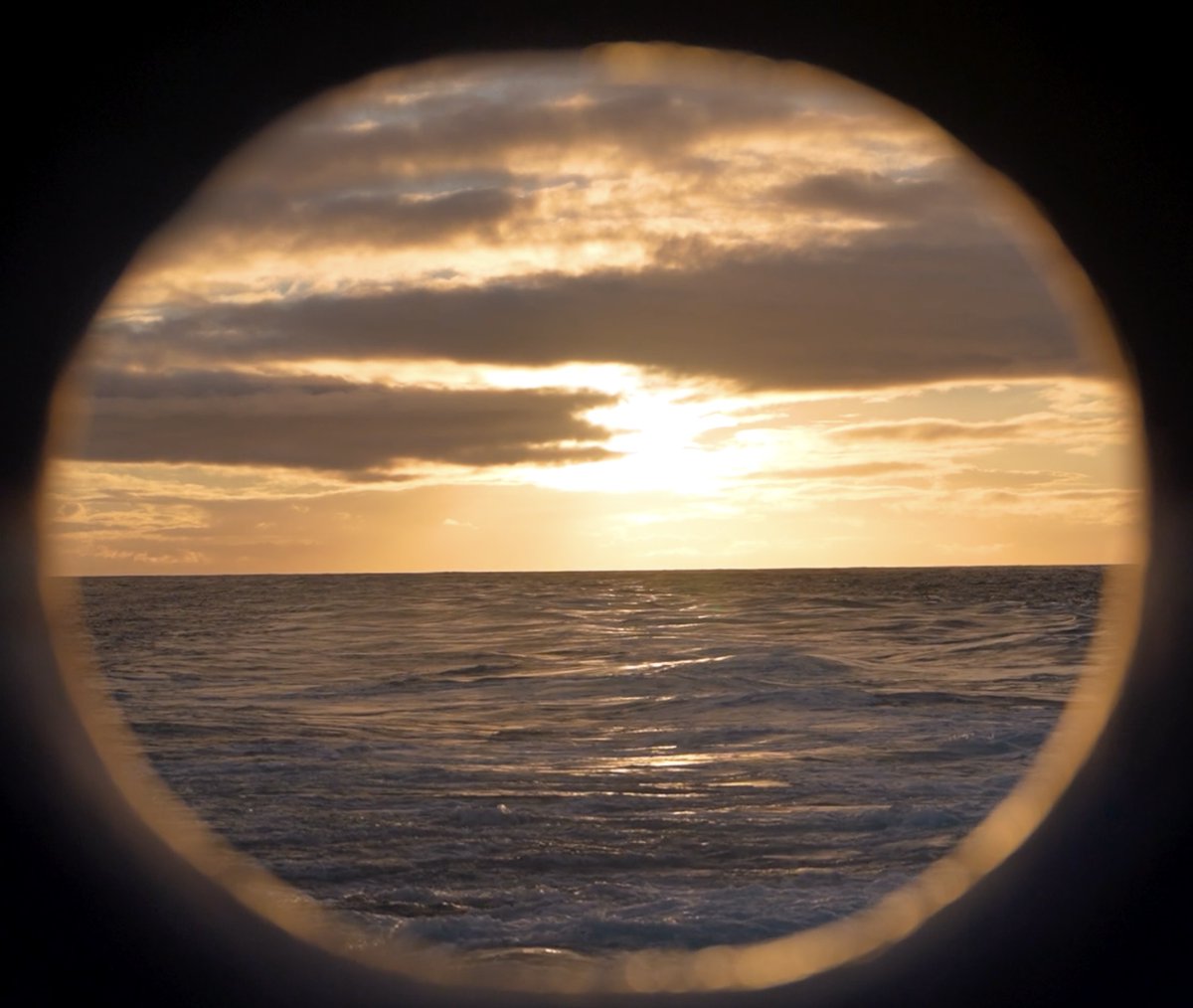 A successful career in science requires mentors, patience, curiosity, and resilience; it also requires funding! Here’s a resource for finding financial support for your undergraduate and graduate programs. They also help fund internships and field work. pathwaystoscience.org/Undergrads.aspx