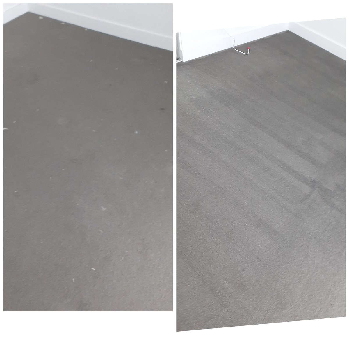 endleaseclean19's tweet photo. Ensure you get your bond back with our professional vacate cleaning services! 
Contact End of Lease Clean Melbourne today for top-notch vacate cleaning services and leave your worries behind!
https://t.co/pZLDBiiZtD
#VacateCleaning #BondCleaning #EndOfLeaseCleanMelbourne https://t.co/2mUqP0Xj4E