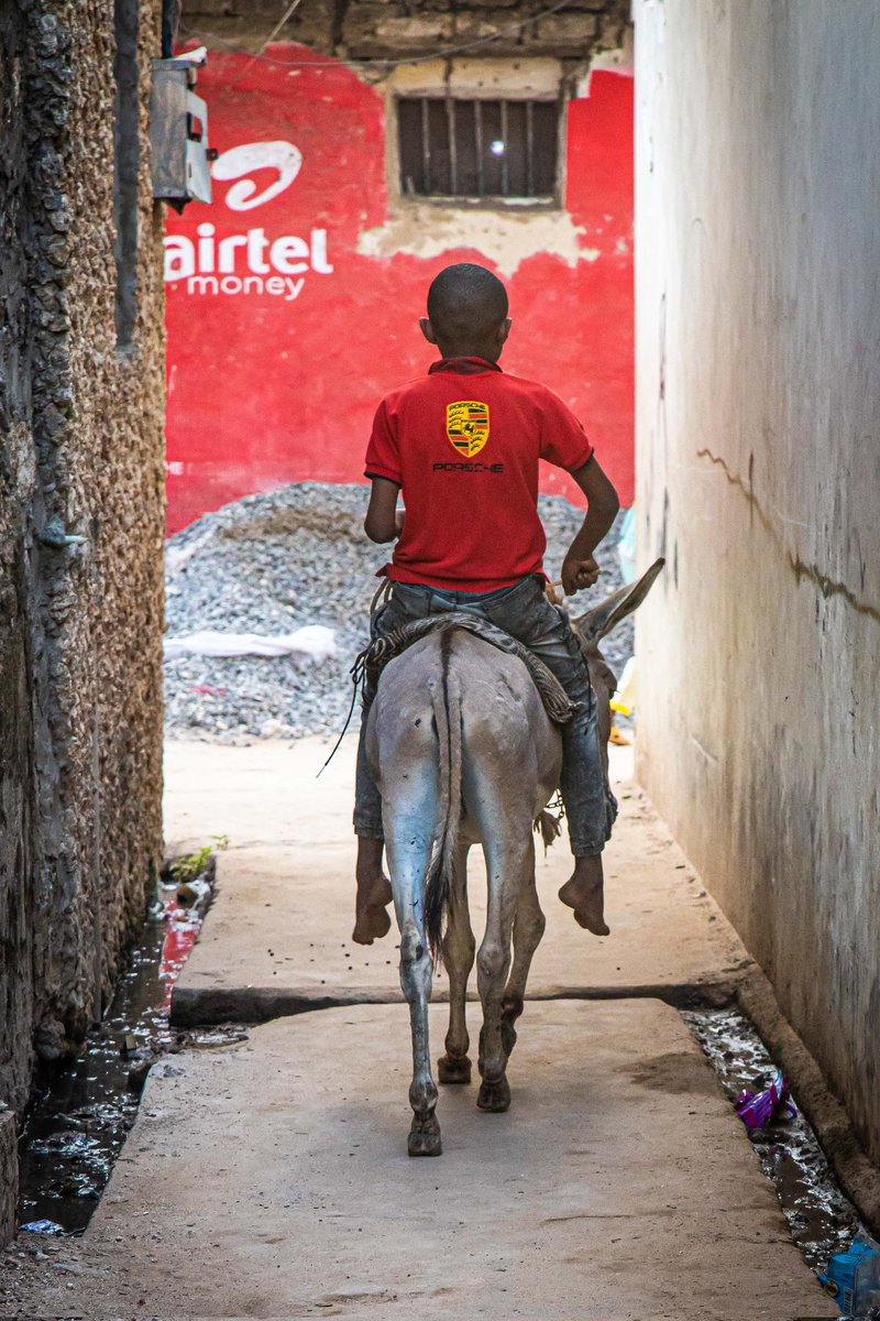 Life on the fast lane...or is it? Since cars are banned in Lamu island, a UNESCO world heritage site,the only form of transport is through donkeys. The young boy rides his donkey adorning a Porsche shirt. 
#ConcreteInLife2425
#ConcreteInDailyLife #Kenya   #Lamu
© Rich Allela 2024