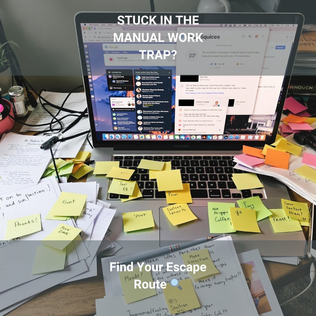 Calomation tweet media