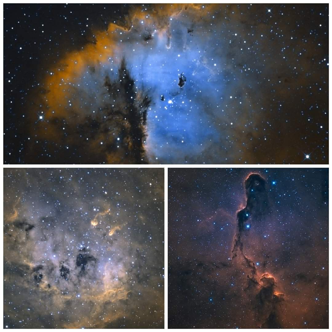 IMZLO-Zach tweet media