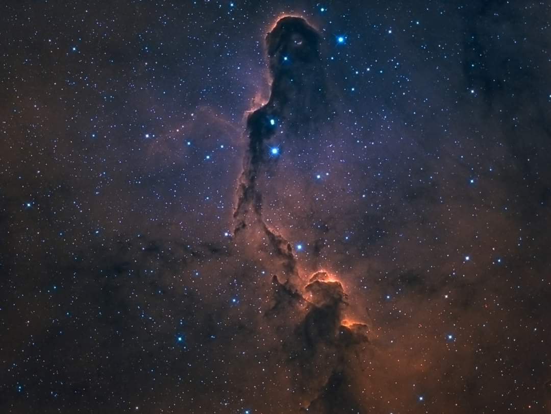 IMZLO-Zach tweet media