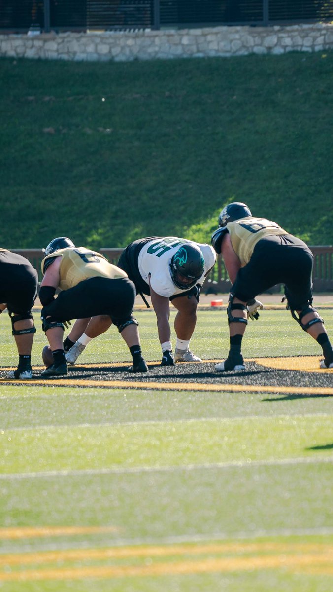 Tasi Laufau tweet media