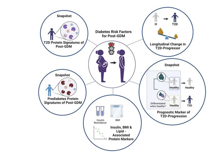 The authors suggest that data from longitudinal proteomic profiling of women years after gestational #diabetes provides insights for clinical decisions and early lifestyle interventions #T2D   <a href="/JCI_insight/">JCI insight</a> insight.jci.org/articles/view/…