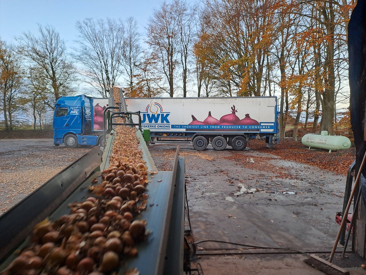 EricPelleboer's tweet photo. Vandaag de #zaaiuien nagereisd. Voor kwaliteitsbeoordeling op het bedrijf @cwiskerkeonions te #Kruiningen. Waar een klein land groot & goed in kan zijn.... #onions #juun #siepels π§
π§
π https://t.co/KPYy07kOe0