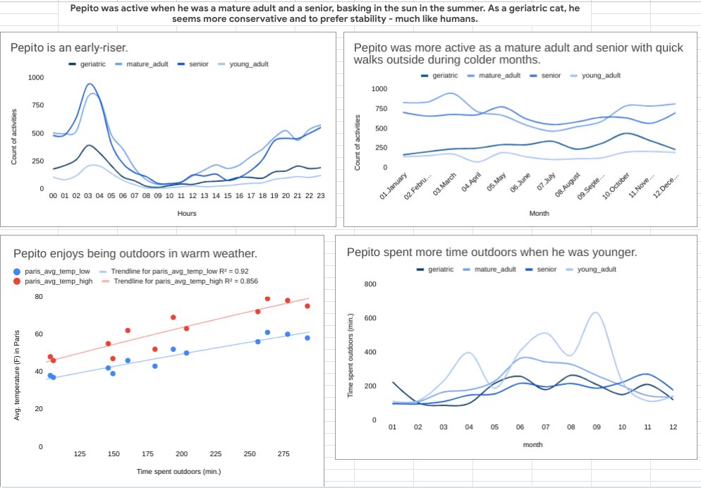 A very quick and dirty <a href="/PepitoTheCat/">Pépito</a> behavior analysis 🐈‍⬛🐱