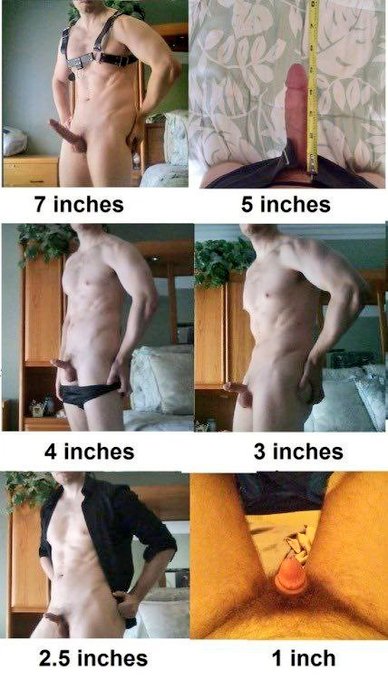 RealPussyMaker's tweet photo. This is your progress with chastity:
Keep locked.
Keep shrinking your useless nub.
Make it fully disfunctional. https://t.co/EPyoOwRvH1