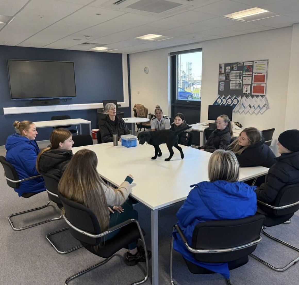 Paige Williams tweet media