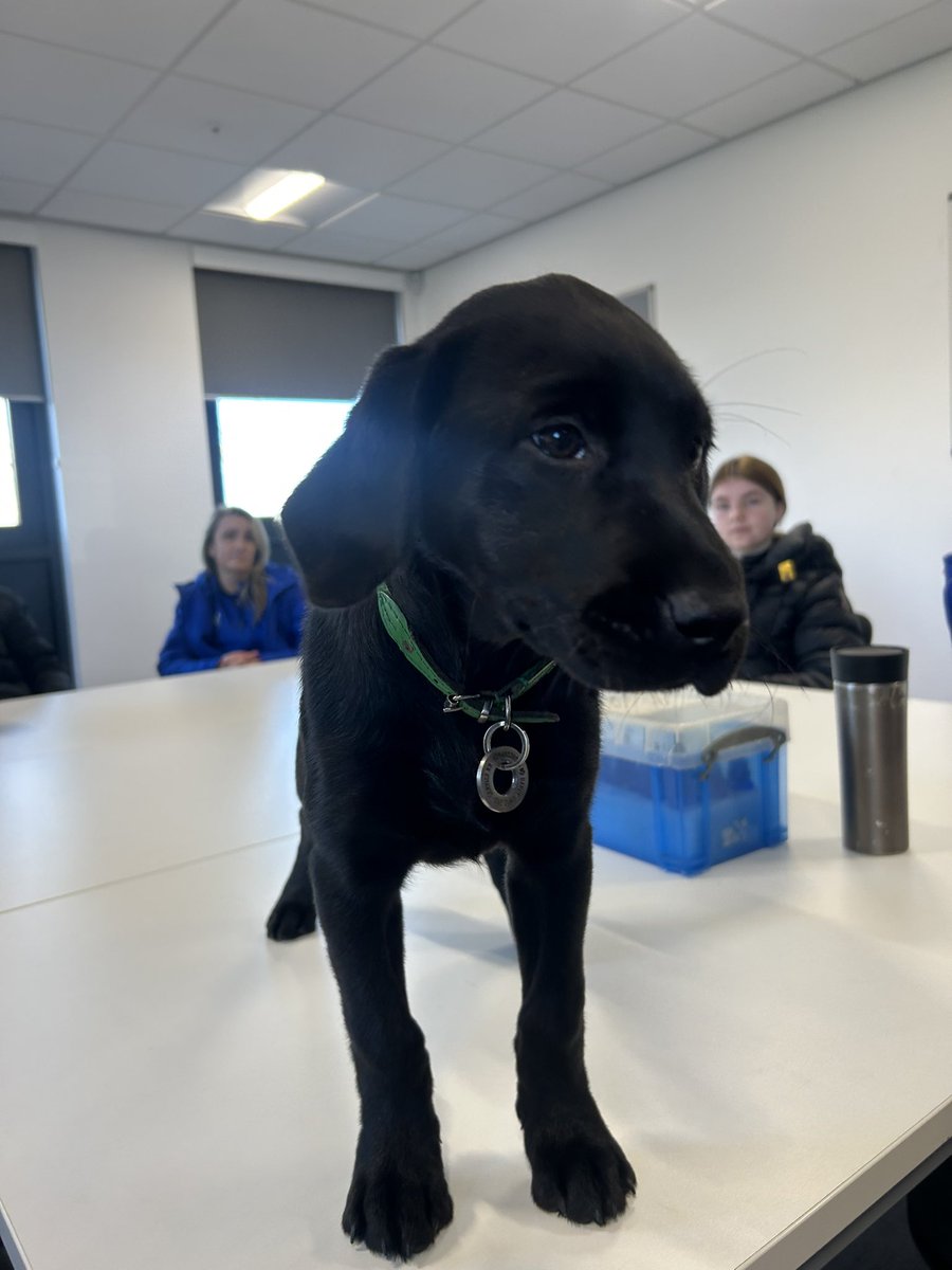 Paige Williams tweet media