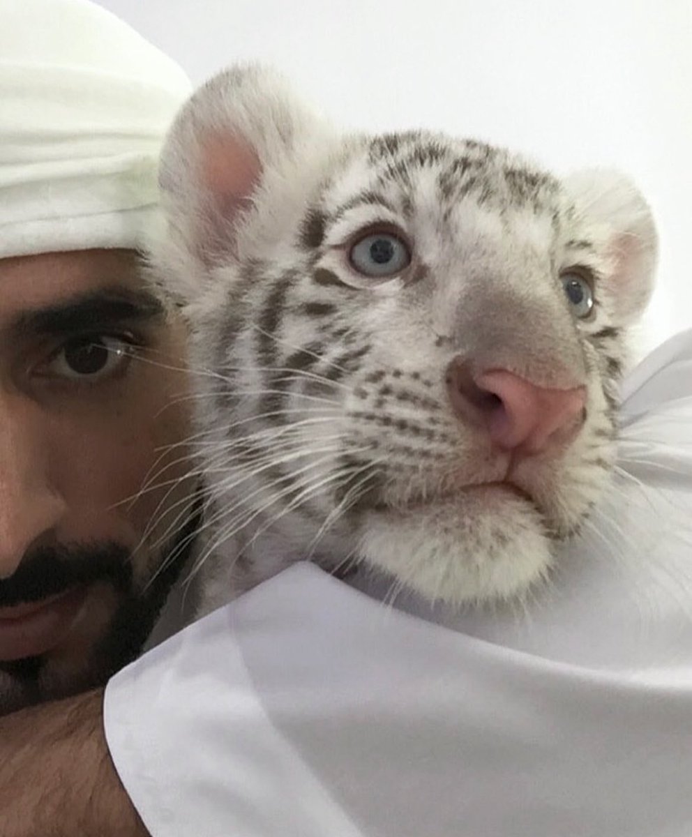 Hh Sheikh Hamdan Mohammedالقلب (@hh_sheikh95879) on Twitter photo 