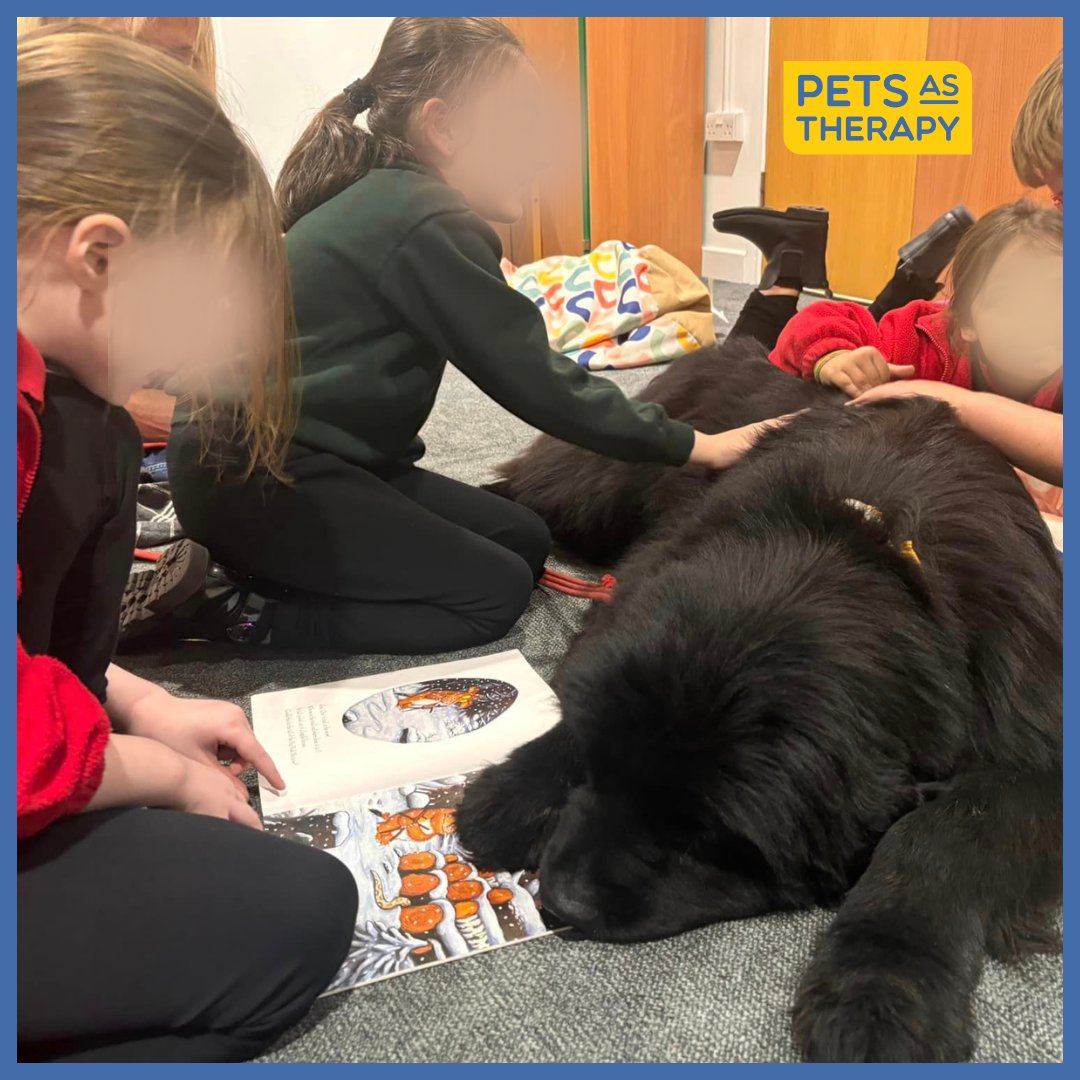 PetsAsTherapyUK's tweet photo. With PAT's #Read2Dogs scheme we bring dogs in hundreds of #schools every year. The pupils can read to them out loud which has been proven to help children build their #confidence, increase concentration as well as release strew and feelings of #anxiety!
https://t.co/wwc3VK9YLV https://t.co/FpplnECrfc