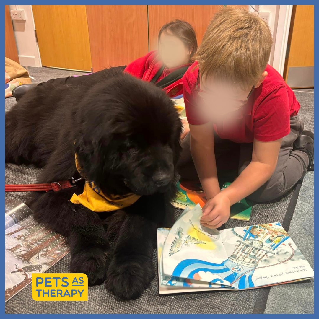 PetsAsTherapyUK's tweet photo. With PAT's #Read2Dogs scheme we bring dogs in hundreds of #schools every year. The pupils can read to them out loud which has been proven to help children build their #confidence, increase concentration as well as release strew and feelings of #anxiety!
https://t.co/wwc3VK9YLV https://t.co/FpplnECrfc