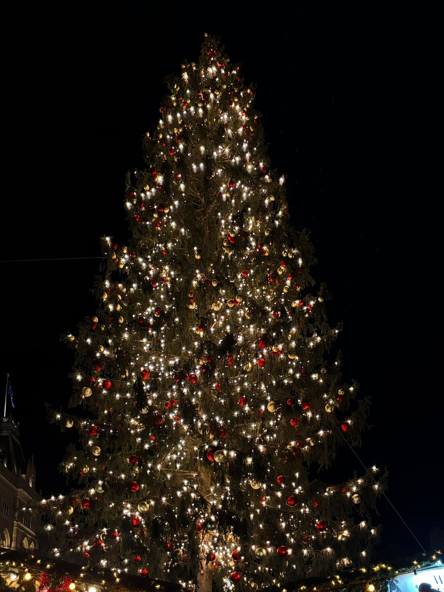 danithrones's tweet image. 🎄🎅🏼 ¿Mercadillos navideños en Viena con tu novio? Insuperable🎄🎅🏼💙