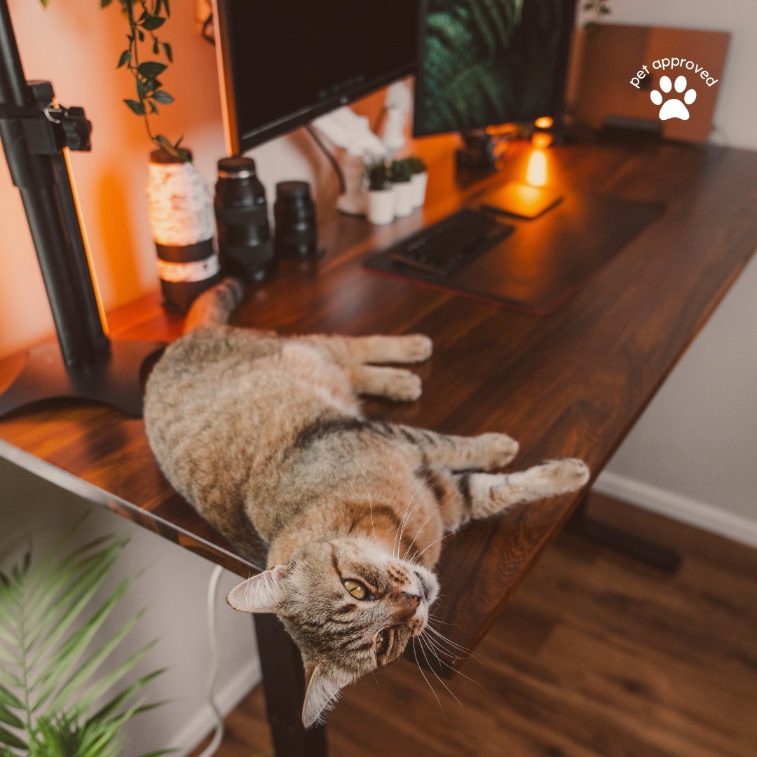 EFFYDESK tweet media