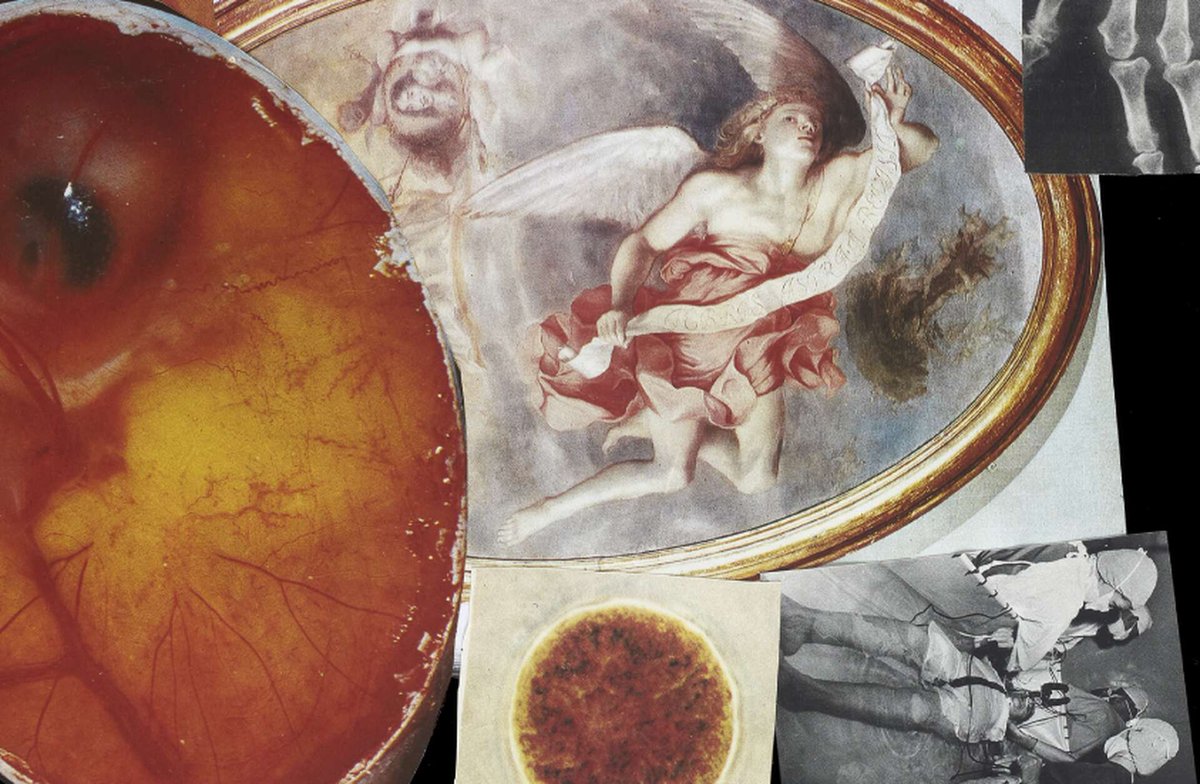 #Photographie #Conférence #Rencontre
→ Mer 04.12
→ Le Delta
30e "Parole Donnée" avec No Sovereign Author (Maroussia Prignot &amp; Valerio Alvarez) dans le cadre l’expo « La Moindre des Choses »
➜ ledelta.be/evenements/par…
Une proposition commune du Delta @ledeltanamur et du <a href="/CCNamur/">Le CCN / Centre culturel de Namur</a>