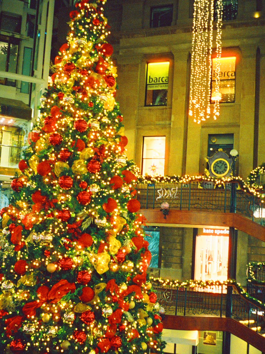 Rhys Robert Harper tweet media