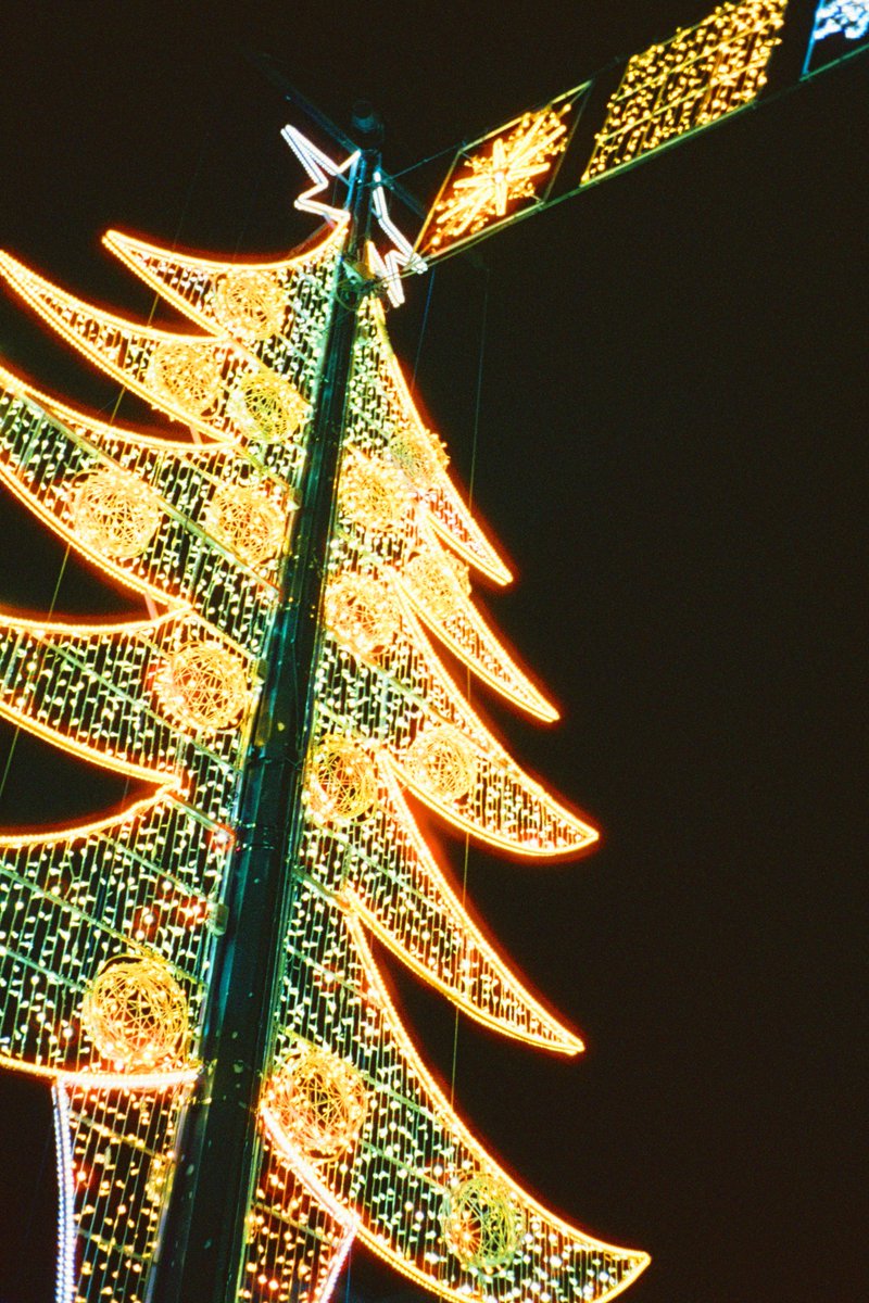 Rhys Robert Harper tweet media