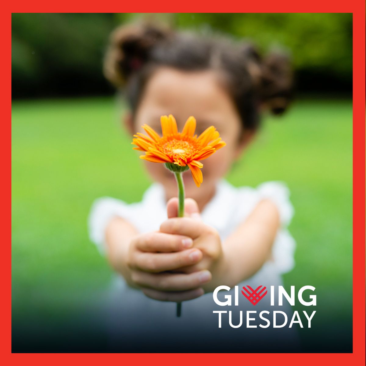 Alameda_CASA's tweet photo. Don’t forget. It’s Giving Tuesday on 12/3. ❤️ Donate here: https://t.co/Z4kL2geI7y https://t.co/mAiy4TXZYL
