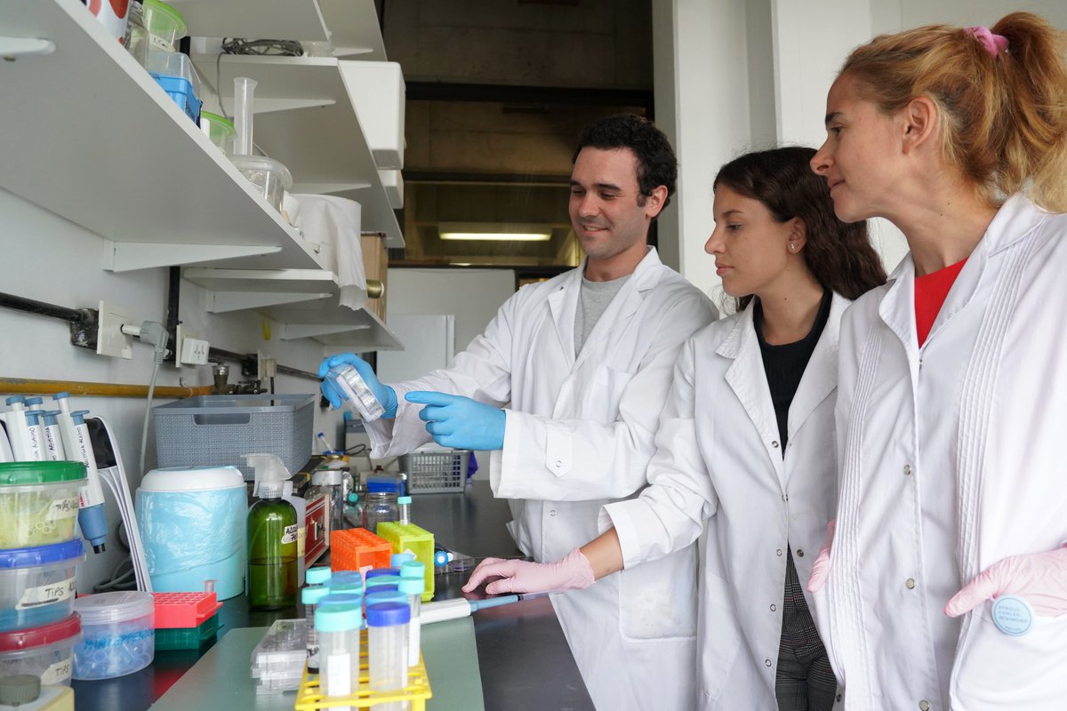 Exactas_UBA's tweet photo. 🧫Un equipo multidisciplinario de la Argentina identificó un pequeño grupo de genes que permite pronosticar con precisión cómo progresará un tumor de próstata. Ahora, trabajan en el desarrollo de un kit diagnóstico económico. El proyecto fue reconocido en dos concursos.

🥼“Todavía hoy, el cáncer de próstata se sigue diagnosticando con métodos que no son lo suficientemente precisos y esto deja a muchos hombres en la incertidumbre”, señala Geraldine Gueron, investigadora del @iquibicen.

🧬Utilizando técnicas de machine learning, el equipo logró identificar cuáles son los genes que, como reguladores maestros, controlan el destino celular. Esa “firma genética” está compuesta por un grupo de entre cinco y diez genes clave.

💉“Midiendo el nivel de expresión de nuestra firma de genes se puede generar un score y determinar con gran precisión cuál es el perfil genómico tumoral para cada paciente y, en consecuencia, se puede predecir la sobrevida”, asegura Gueron.

🏥Tras explicar que el kit pronóstico ya fue validado bioinformáticamente de manera exitosa con diferentes sets de datos independientes, Gueron anuncia: “Ya tenemos acuerdos con hospitales públicos y privados para validarlo a nivel clínico”.

Más detalles en la nota de @nex_ciencia: https://t.co/Fdi27kGLqb