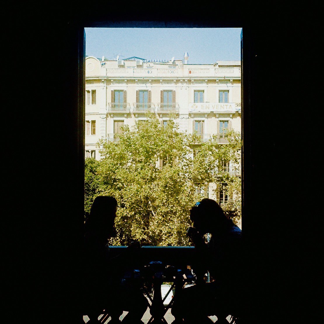 “Hotel Bar”, the next single from our debut album out 28/11/24

delights.os.fan/pre-save-hotel…