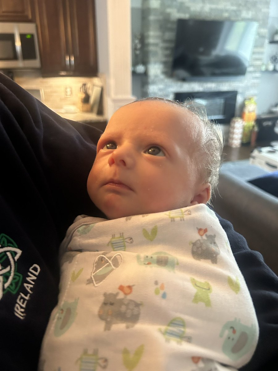 ragpacker's tweet image. My new lil buddy