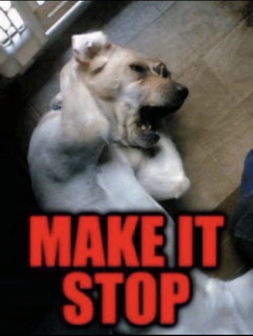 لأن نينجا ما يوصل نينجا يجيب