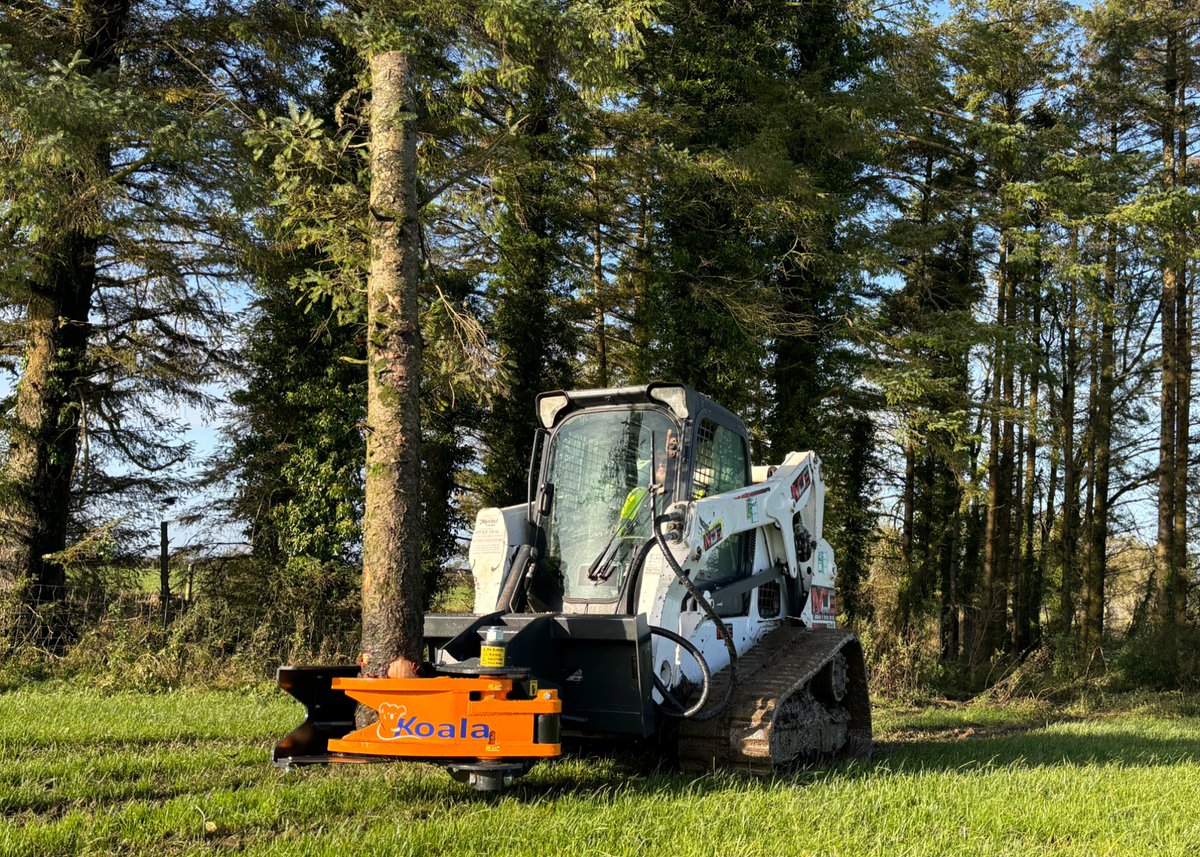 MDE39920652's tweet image. MDE Koala 300 &amp;amp; Bobcat Skid steer 🐨 Impressive what this setup can achieve💪 

mdemachinery.com

#MDEmachinery #bobcatconstruction #treeshear #forestry #plantmachinery #treefelling