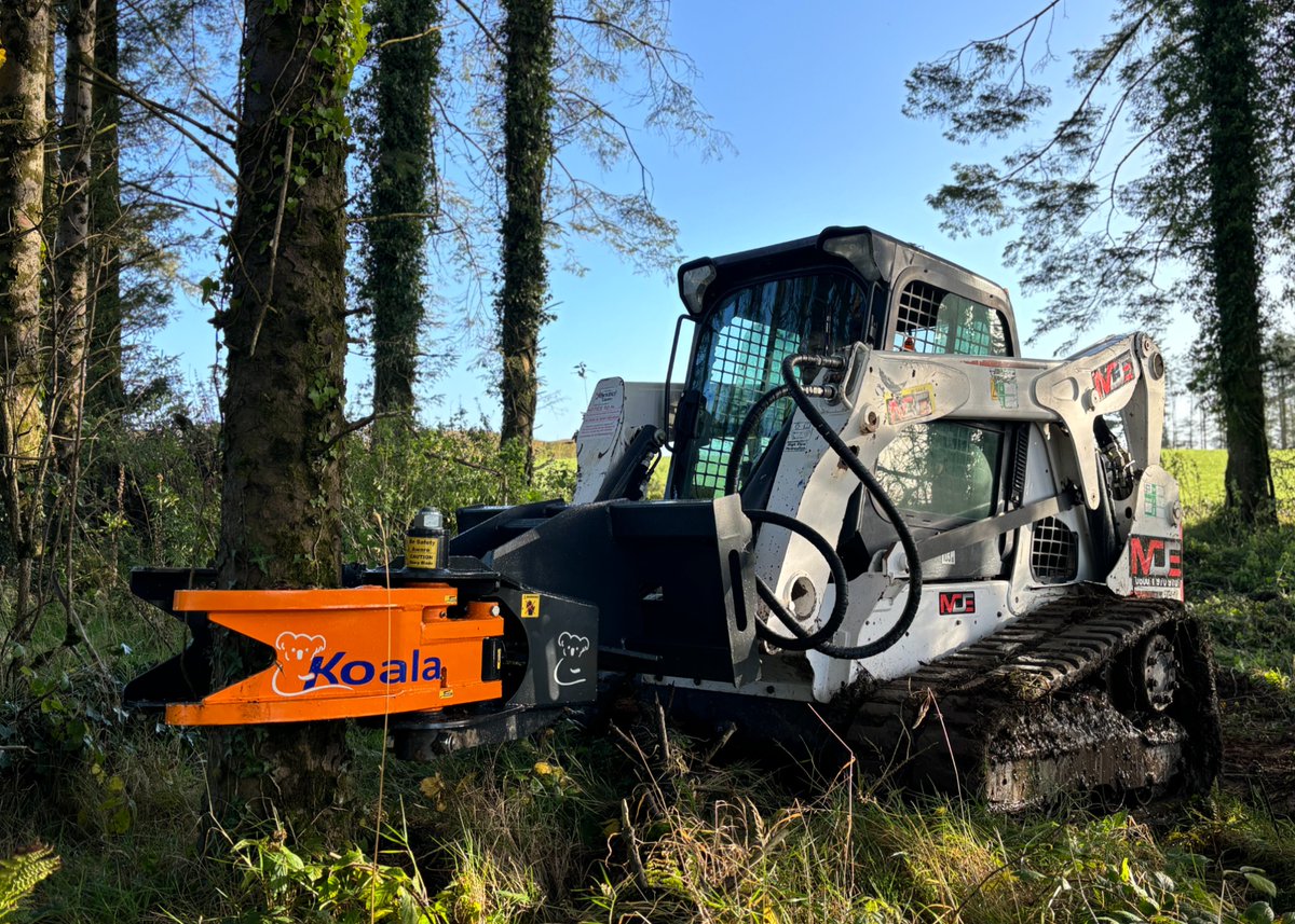 MDE39920652's tweet image. MDE Koala 300 &amp;amp; Bobcat Skid steer 🐨 Impressive what this setup can achieve💪 

mdemachinery.com

#MDEmachinery #bobcatconstruction #treeshear #forestry #plantmachinery #treefelling