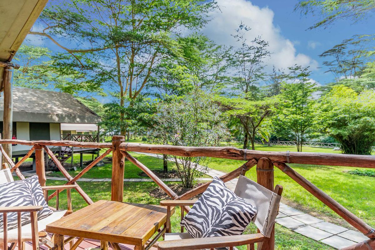 AlikaAdventures's tweet photo. Lake Naivasha Cresent Camp📌

A night with the Hippos 

1 Night 2 Days Self Drive
Kes.10,500 Pps- full board
Contact us: Email reservations@alikaadventures.com
Call/WhatsApp:0704357642/ 0745757252 #Naivasha #GreatRiftValleyLodge
#adventure #kenya #safari #masaimara
#maratopi https://t.co/K6d29j9TPQ