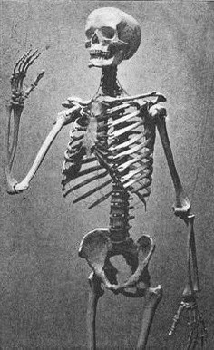 1926 Live tweet media