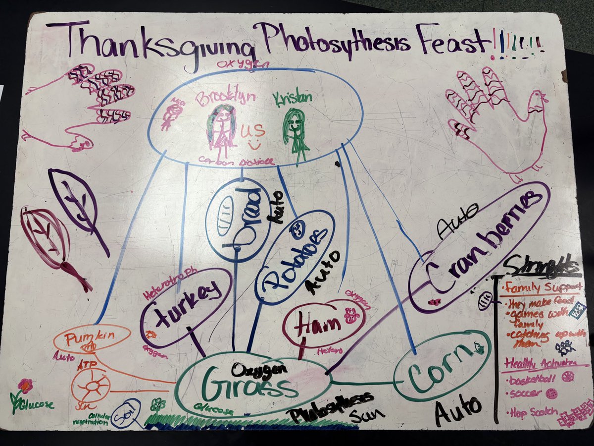 GlatzScience's tweet photo. Today our #Biology students connected science to Thanksgiving! They created webs linking their favorite foods to key concepts like photosynthesis, ATP, and glucose. Check out their creative work including #SourcesOfStrength to be thankful for! #HappyThanksgiving οΏΌ https://t.co/t0Y46KdeBD