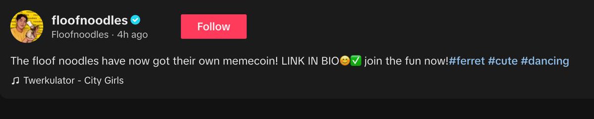Don’t fade <a href="/Floof_Noodles/">$FLOOF</a> the ferret. 🦦

$FLOOF has 17M fans, a fired-up community, new CTO team with the TikTok channel founder onboard and a massive 100x incoming. 🚀

Get in before the rally or watch from the sidelines. 

Your choice. 🔥