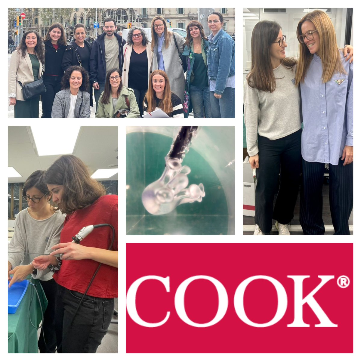albasierrad's tweet photo. Gracias a @CookMedical por su compromiso con la formación de enfermería en endourología y por contar conmigo en el curso "Formación en Enfermería: Intercambio de Experiencias en Endourología" 
¡Un honor participar en esta iniciativa! 🙌🙌 
#Endourologia @EndoLapRobAEU https://t.co/Kbuoexx6c8