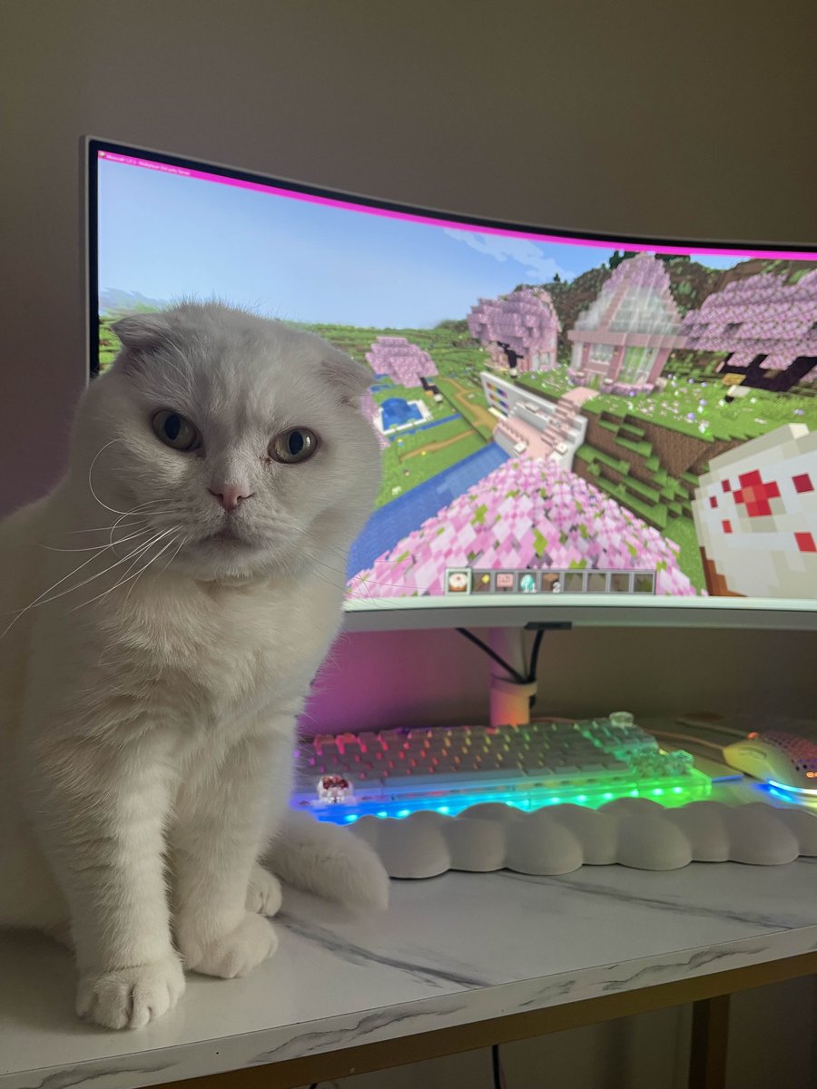 aloebud's tweet photo. Hi everyone! We started a Minecraft server for Aloe Bud friends to play on. Hope to see you there! 🟩

Server IP: https://t.co/Sam2znuY92
Website: https://t.co/th5PenhATm
Discord: https://t.co/gvjFdA94Le https://t.co/17F6ENIfy0