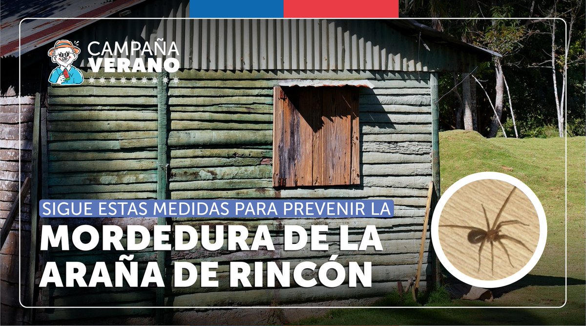 ministeriosalud's tweet photo. 🕷️Prevén la mordedura de la araña de rincón siguiendo las siguientes recomendaciones:

Ante dudas llama a Salud Responde 📱 600 360 7777

#CampañaVerano https://t.co/zd8meCRqzb