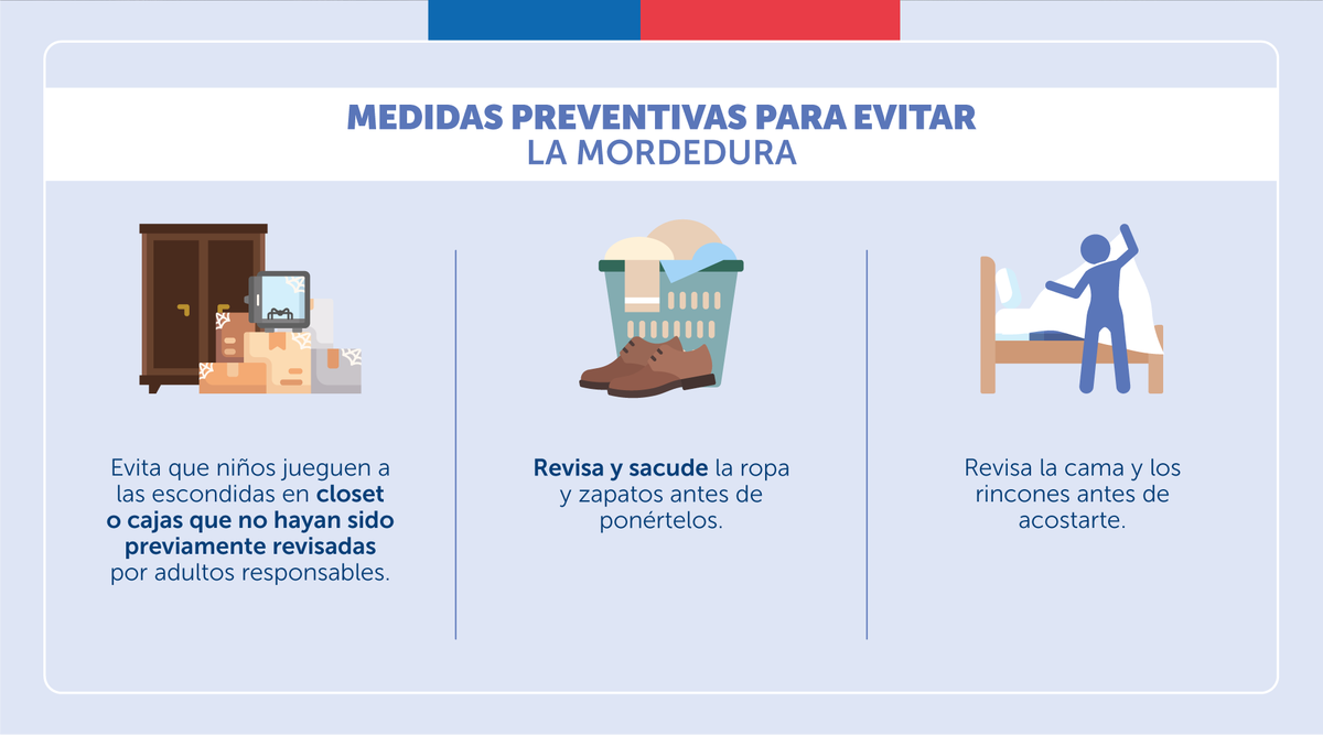 ministeriosalud's tweet photo. 🕷️Prevén la mordedura de la araña de rincón siguiendo las siguientes recomendaciones:

Ante dudas llama a Salud Responde 📱 600 360 7777

#CampañaVerano https://t.co/zd8meCRqzb