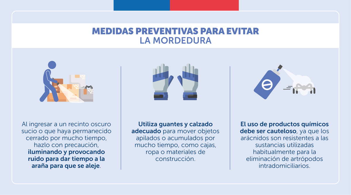 ministeriosalud's tweet photo. 🕷️Prevén la mordedura de la araña de rincón siguiendo las siguientes recomendaciones:

Ante dudas llama a Salud Responde 📱 600 360 7777

#CampañaVerano https://t.co/zd8meCRqzb