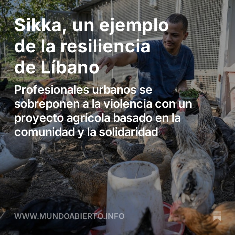 Témoris Grecko @temoris.bsky.social (@temoris) on Twitter photo Mientras los israelíes están tratando de matar lo más que puedan antes del cese al fuego...
Los libaneses se fortalecen en su resiliencia. <a href="/ManuOrtizE/">Manu Ortiz Escámez</a> y yo estuvimos en Saida, Líbano, con una comunidad de profesionales que han creado un entorno de solidaridad y construcción: Mientras los israelíes están tratando de matar lo más que puedan antes del cese al fuego...
Los libaneses se fortalecen en su resiliencia. <a href="/ManuOrtizE/">Manu Ortiz Escámez</a> y yo estuvimos en Saida, Líbano, con una comunidad de profesionales que han creado un entorno de solidaridad y construcción: