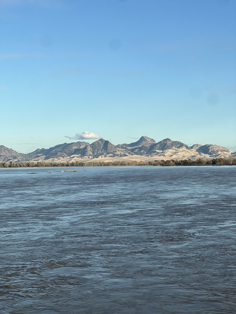 norcalrose's tweet photo. 25 days until Winter. 
The Great Horned Owl begins to nest. Fall rainstorm floods the weir. Over yonder the ‘Smallest Mountain Range in the World’ sits.
Leaves turn, levees fill, wildlife prospers. Winter is coming. 

#northerncalifornia #winteriscoming #stewardoftheland https://t.co/pUqtqu9a30