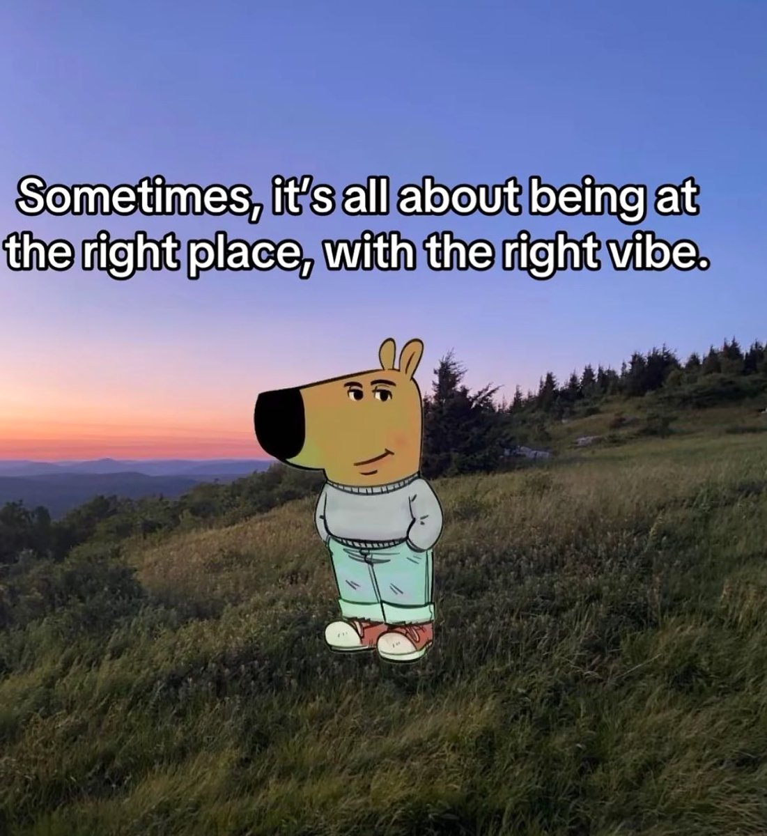 Pepe de’ Medici 🐸💚 tweet media