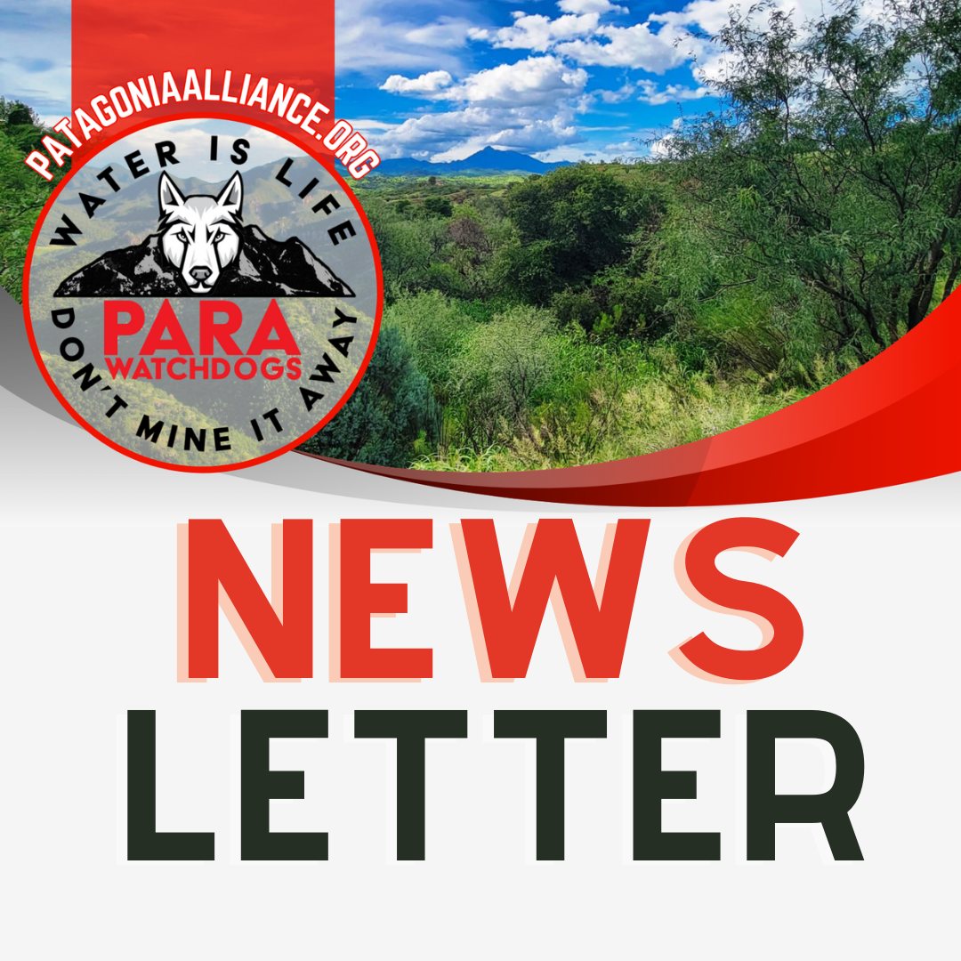 In November’s PARA update, learn how Patagonia’s thriving recreational and nature-based economy faces threats from modern industrial mining and more!!!

Visit patagoniaalliance.org to find out more, or click this direct link: bit.ly/3AXJhci