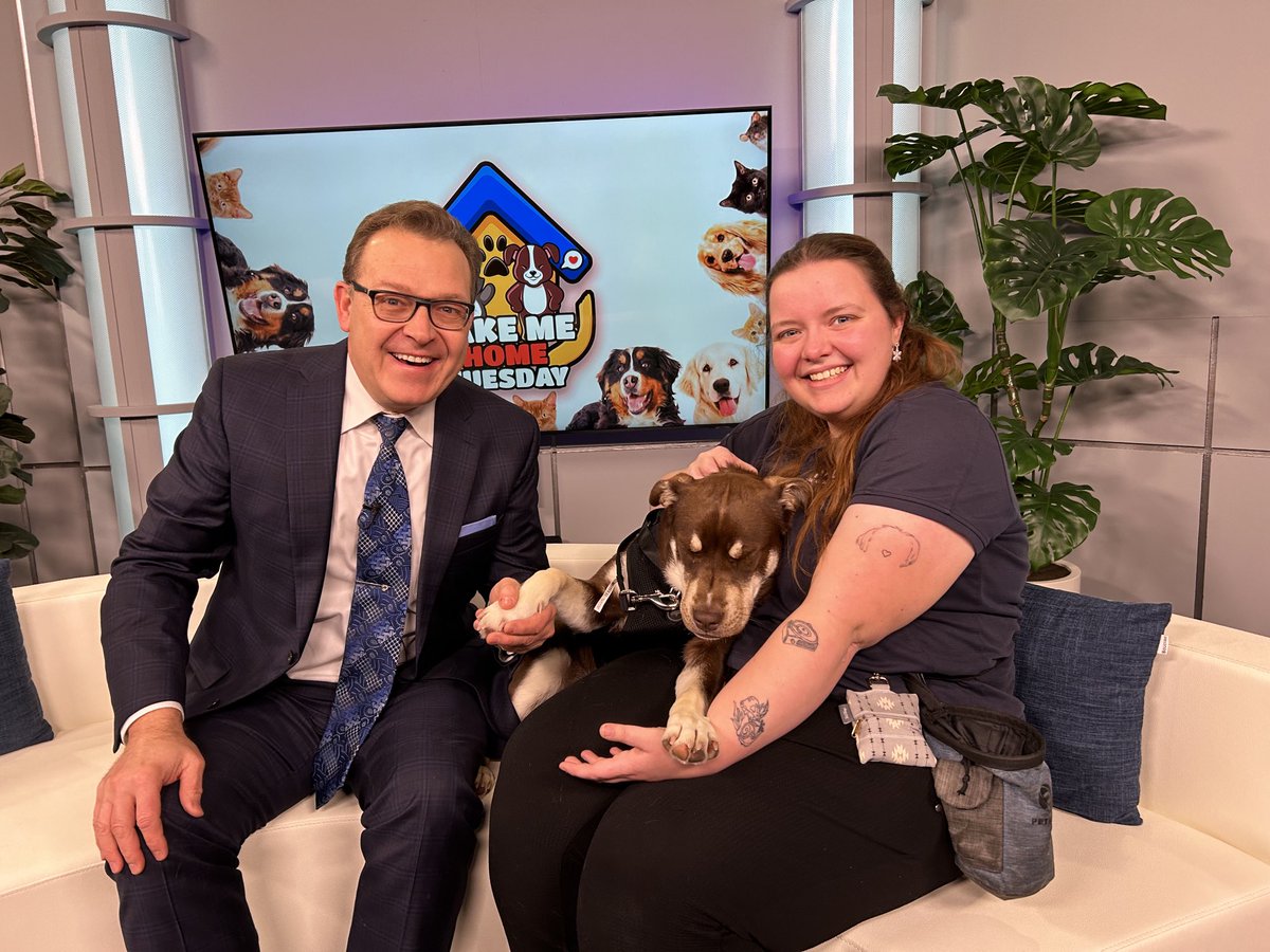 Tony Ryma (@ctvtonyryma) on Twitter photo Shkaabe is a one yr. old mixed breed. She is beautiful and friendly. Thank you Emma Bailey of the <a href="/SudburySPCA/">Sudbury SPCA</a> for bringing her in. Shkaabe is a one yr. old mixed breed. She is beautiful and friendly. Thank you Emma Bailey of the <a href="/SudburySPCA/">Sudbury SPCA</a> for bringing her in.