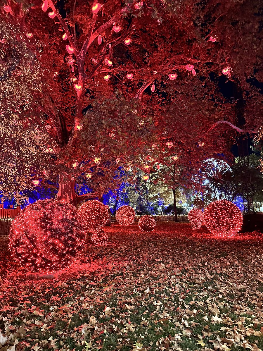 Jules Swain tweet media