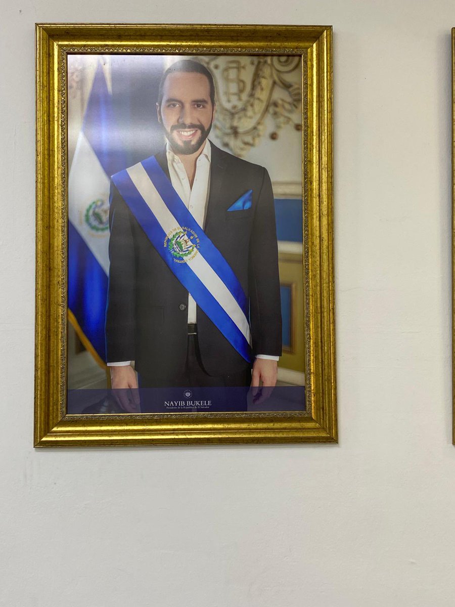 Para vergüenza de la clase política, este hombre <a href="/nayibbukele/">Nayib Bukele</a> le ha demostrado al mundo que cuando los políticos no acaban con la delincuencia es simplemente porque no quieren.