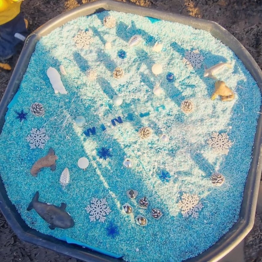 Wild Bears Forest School CIC tweet media